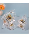 三角鋼琴 透明 音樂盒 MUSIC BOX